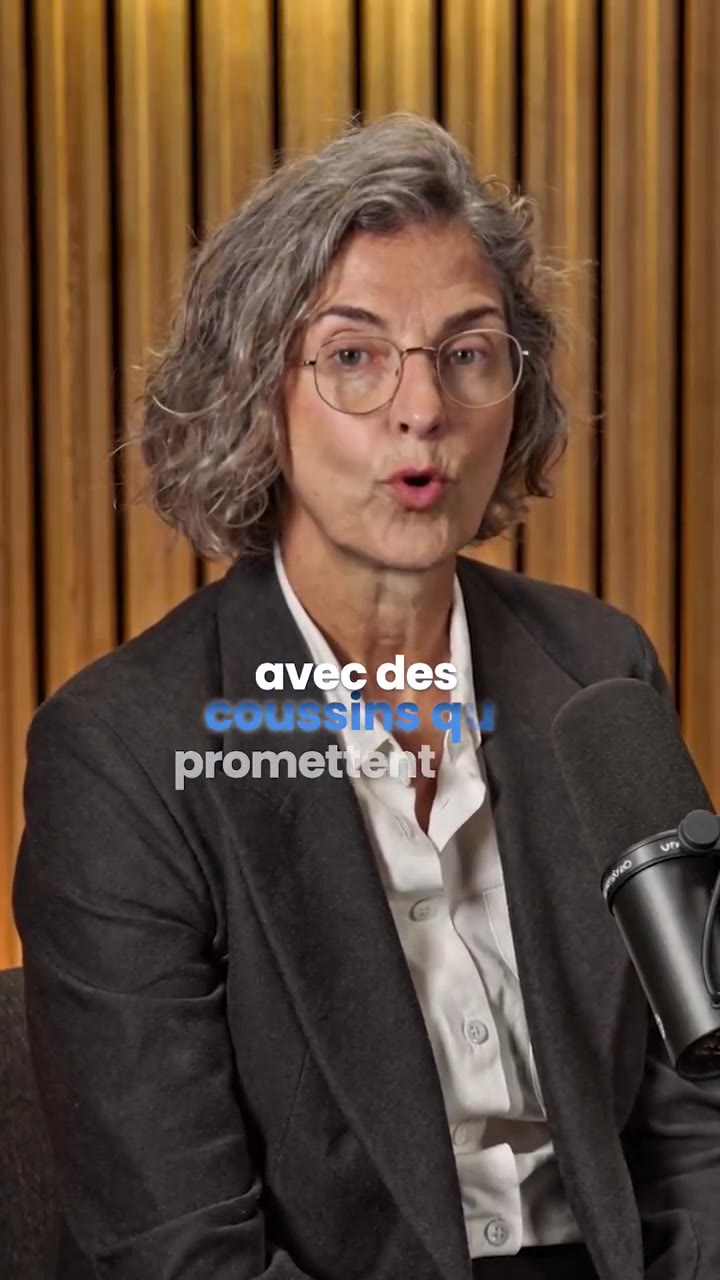 Soya Paris : la tierlist des oreillers